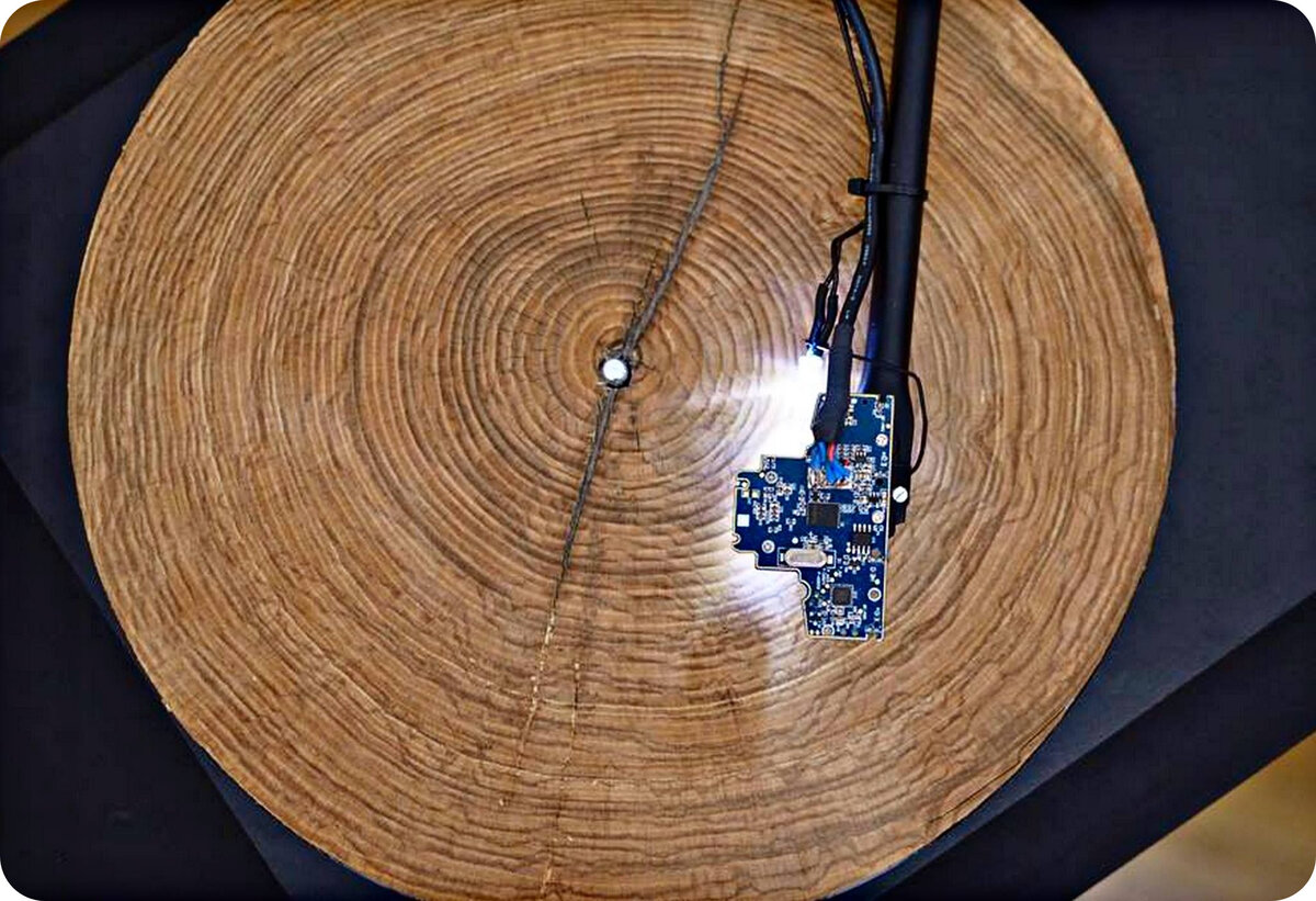 Фото: https://buddhavgorode.com/