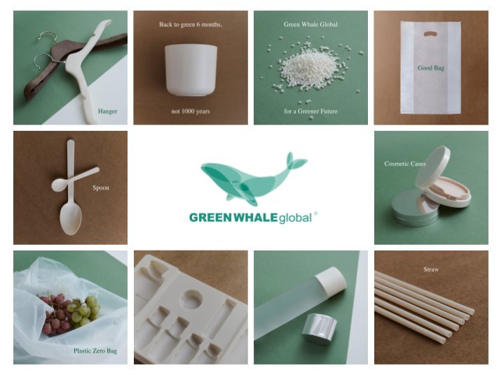 (Green Whale Global)
