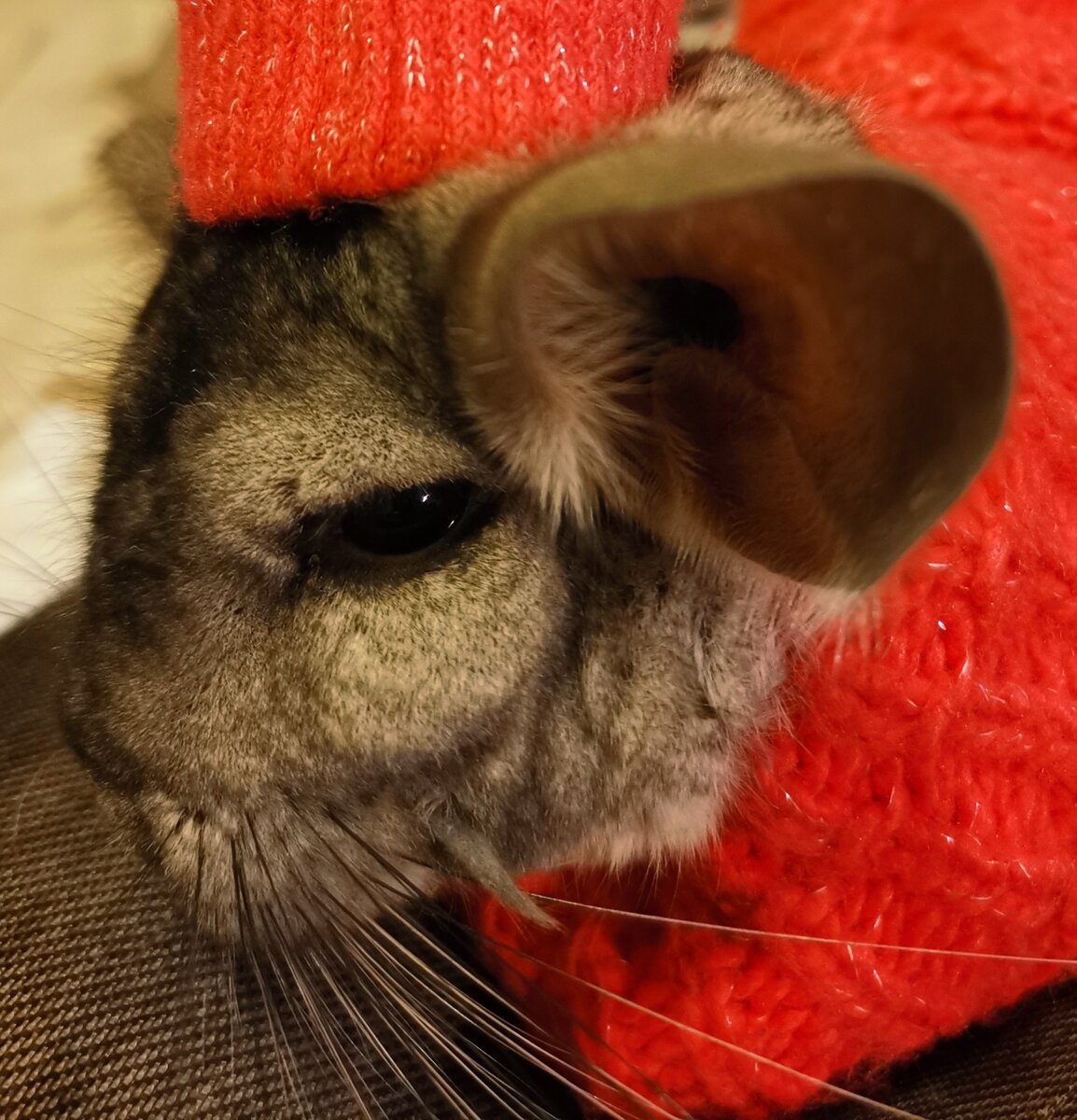 Стен сегодня сердитый