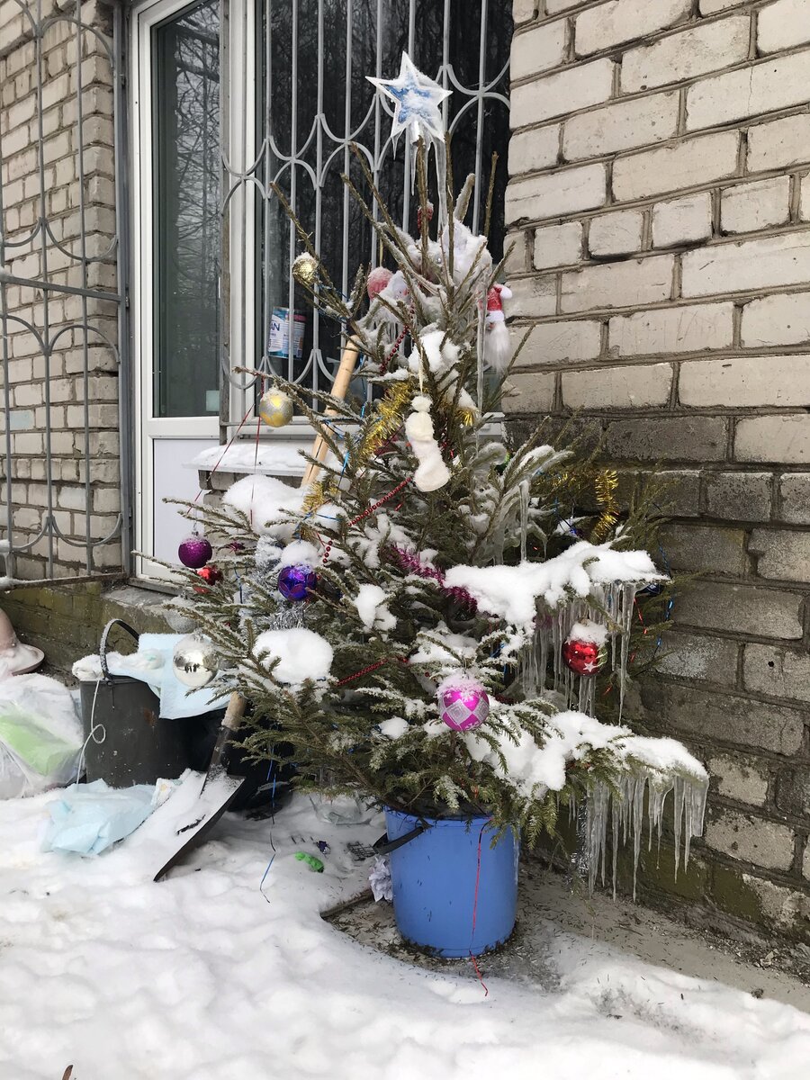 Сфотографировала эту красоту в субботу) недалеко от нашего дома