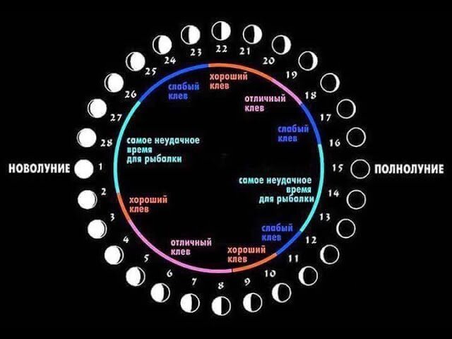 Луна может и влияет на рыб, но сильно ли это влияние на клев рыбы доподлинно не известно, больше спекуляций вокруг этого вопроса. Если есть охота сходить на рыбалку, то не стоит обращать внимание на всякие мелочи! иллюстрация из открытых источников