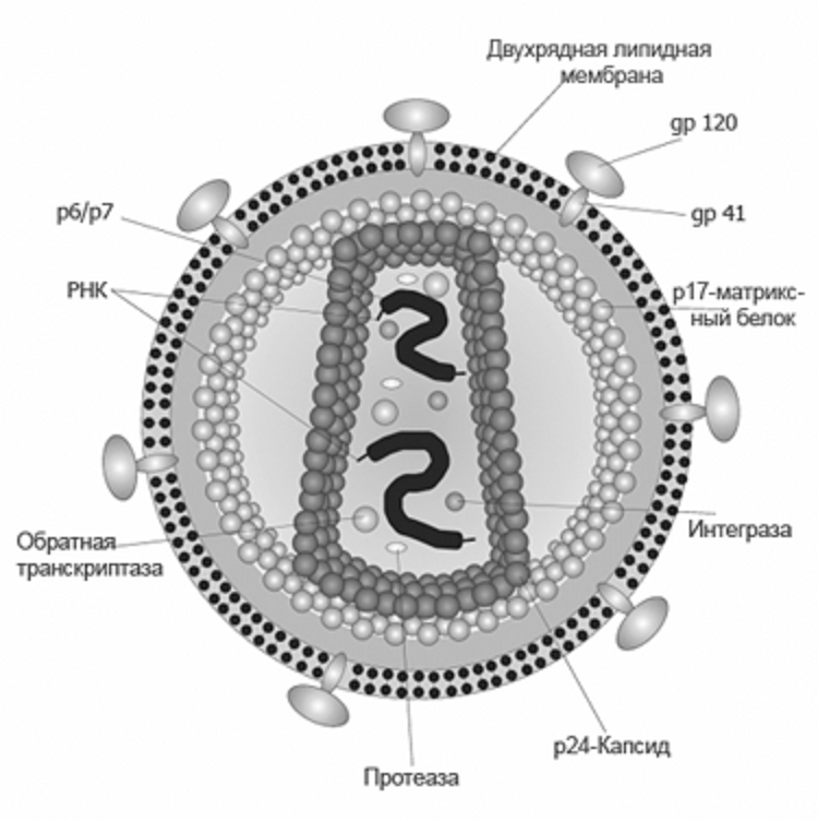 Электронная схема - Wikiwand