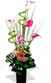 Фото из интернета