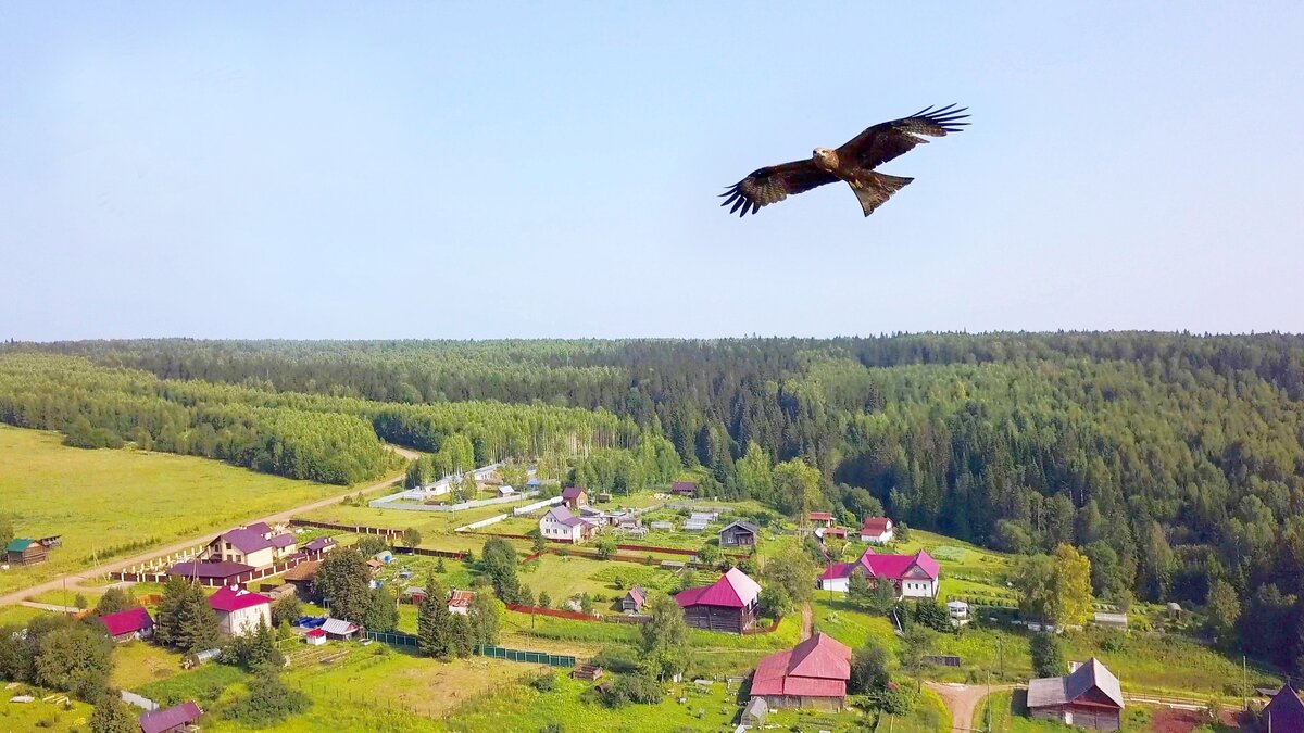 Село ильинское пермский край. Ильинский район Пермский край. Деревня Петрушата Ильинский район. Петрушата Ильинский район Пермский край.