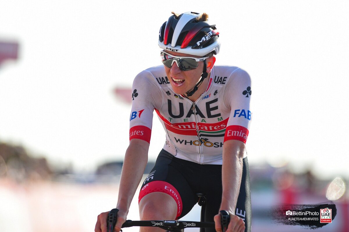 Тадей Погачар