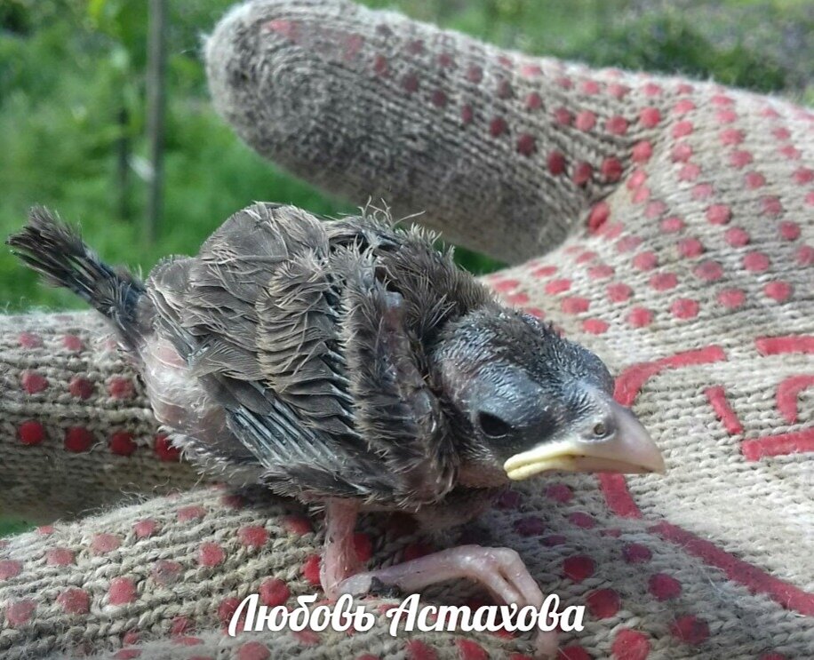 В дальнейшем станет видно, что негативная ситуация происходила во благо. 