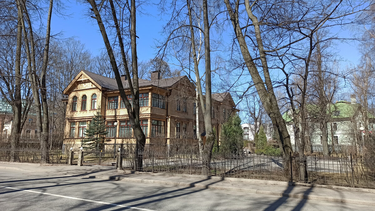 Каменный остров. Начало пути