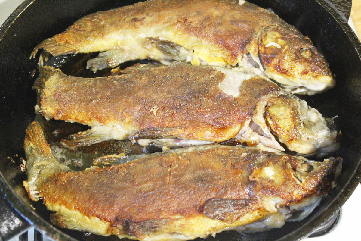 Линь жареный. Линь в духовке. Линь жареный на сковороде. Вкусный ли Линь жареный.