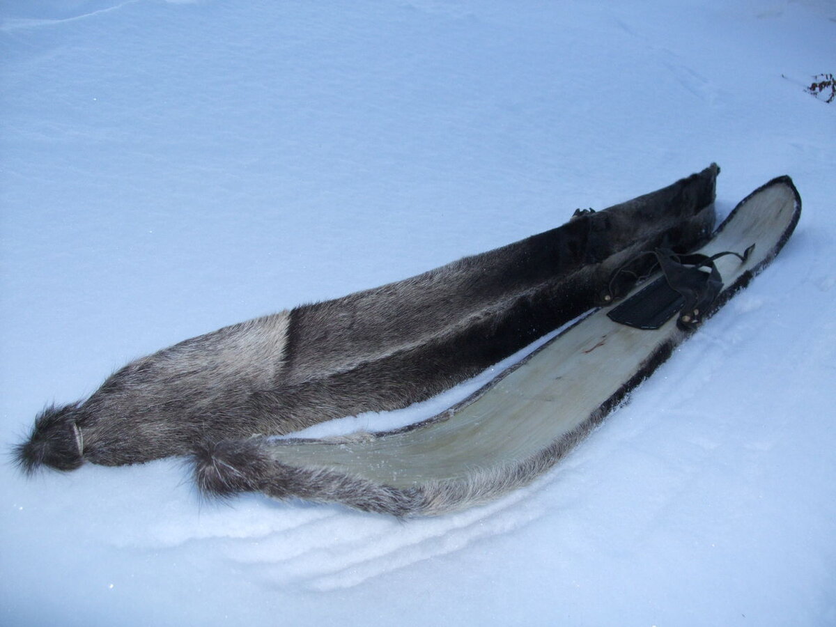 Охотничьи лыжи.. Картинка из интернета. 