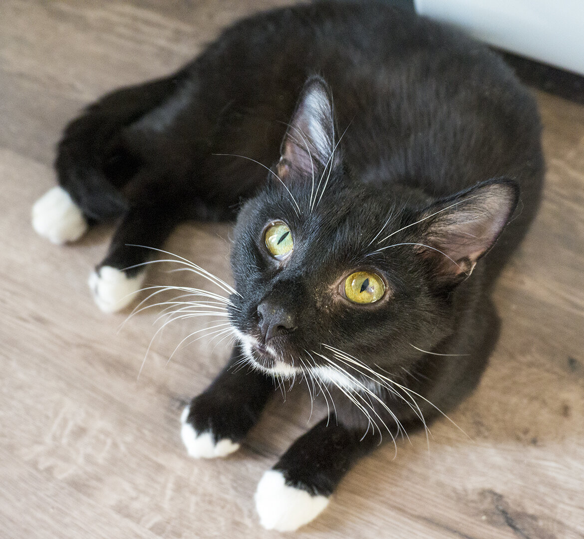 Фотография автора