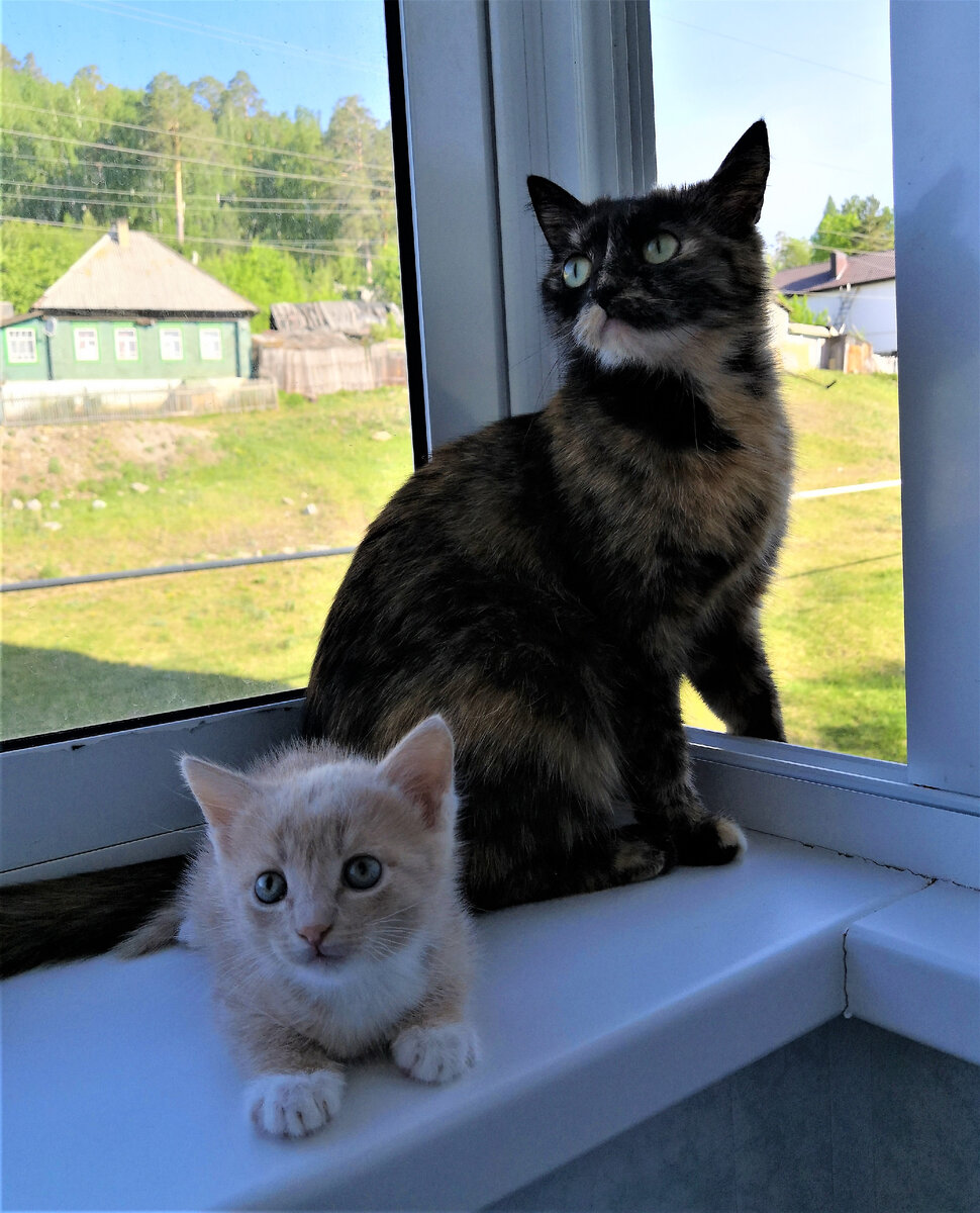 Автор фото Владимир Дегтярёв. Никакого переезда не будет. Мы так решили. Нам и здесь хорошо.