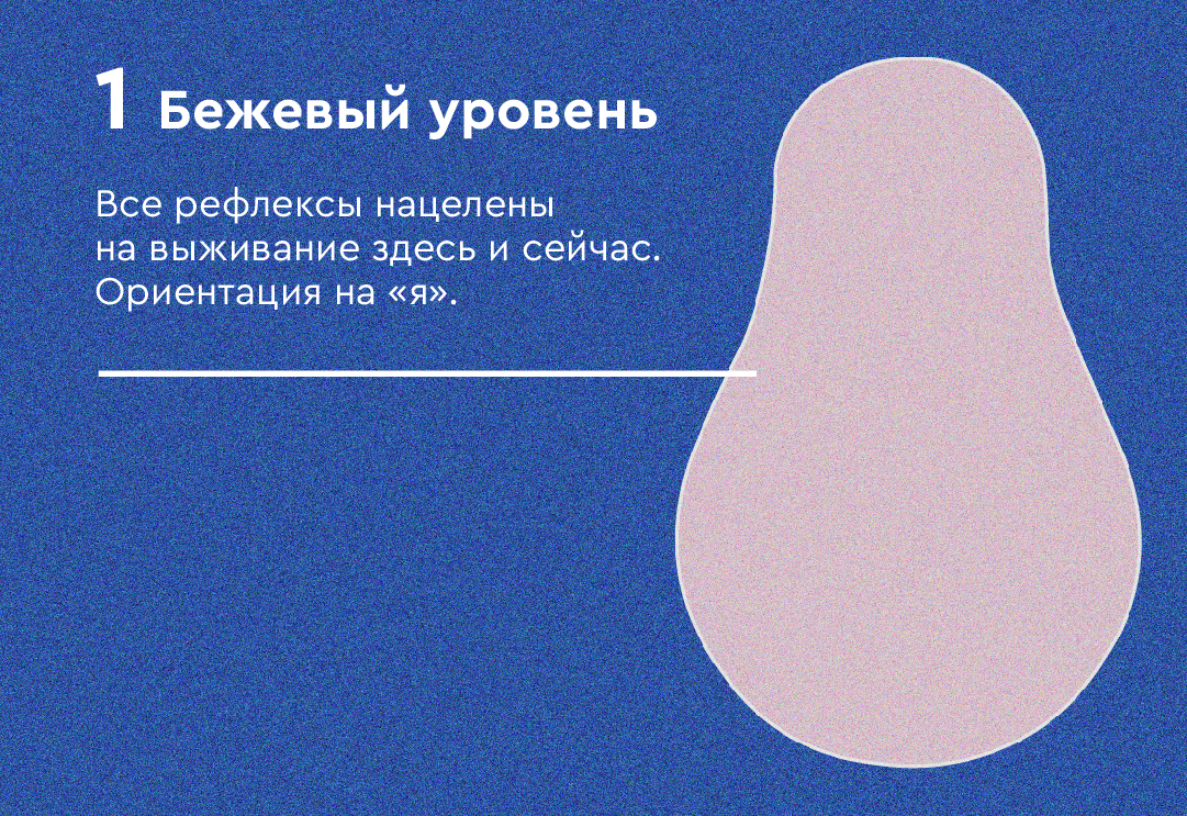 модель спирального развития Бека и Кована, бежевый уровень