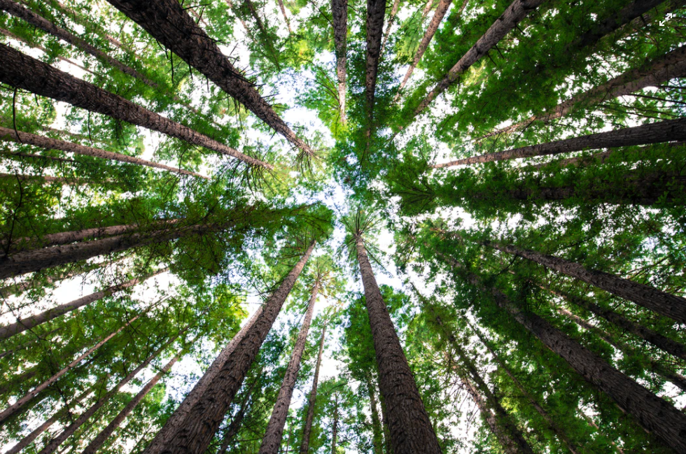 Фото с ресурса Unspash: https://unsplash.com/photos/7EqQ1s3wIAI