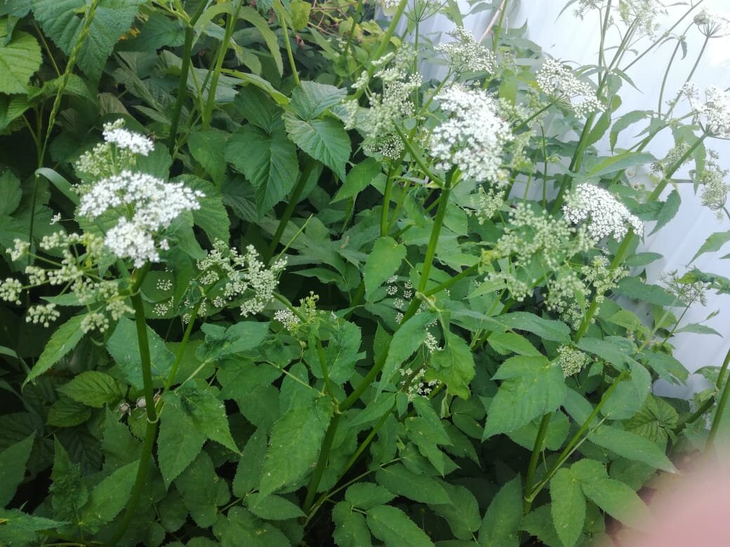 Фото из личного архива 