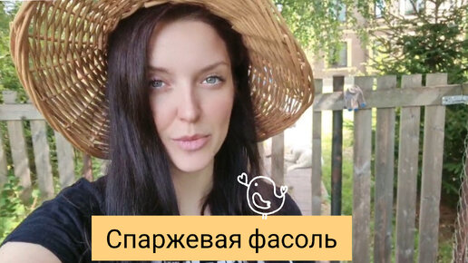 Урожайная спаржевая фасоль