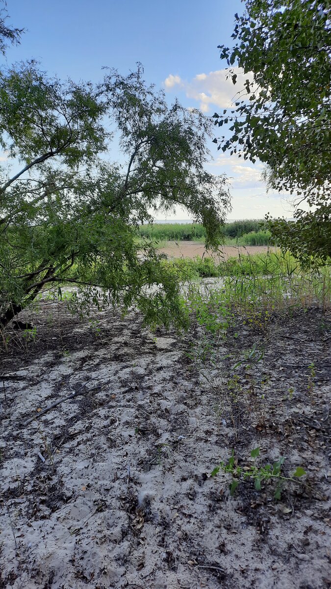 Должна была быть вода, а нету.