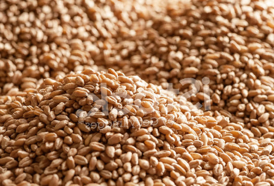 Эффективные денежные ритуалы