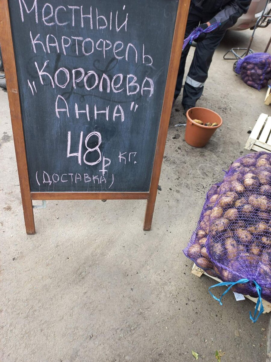картошка. цена на начало октября.