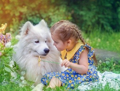 Вот такую классную фотографию нашла на просторах интернета!