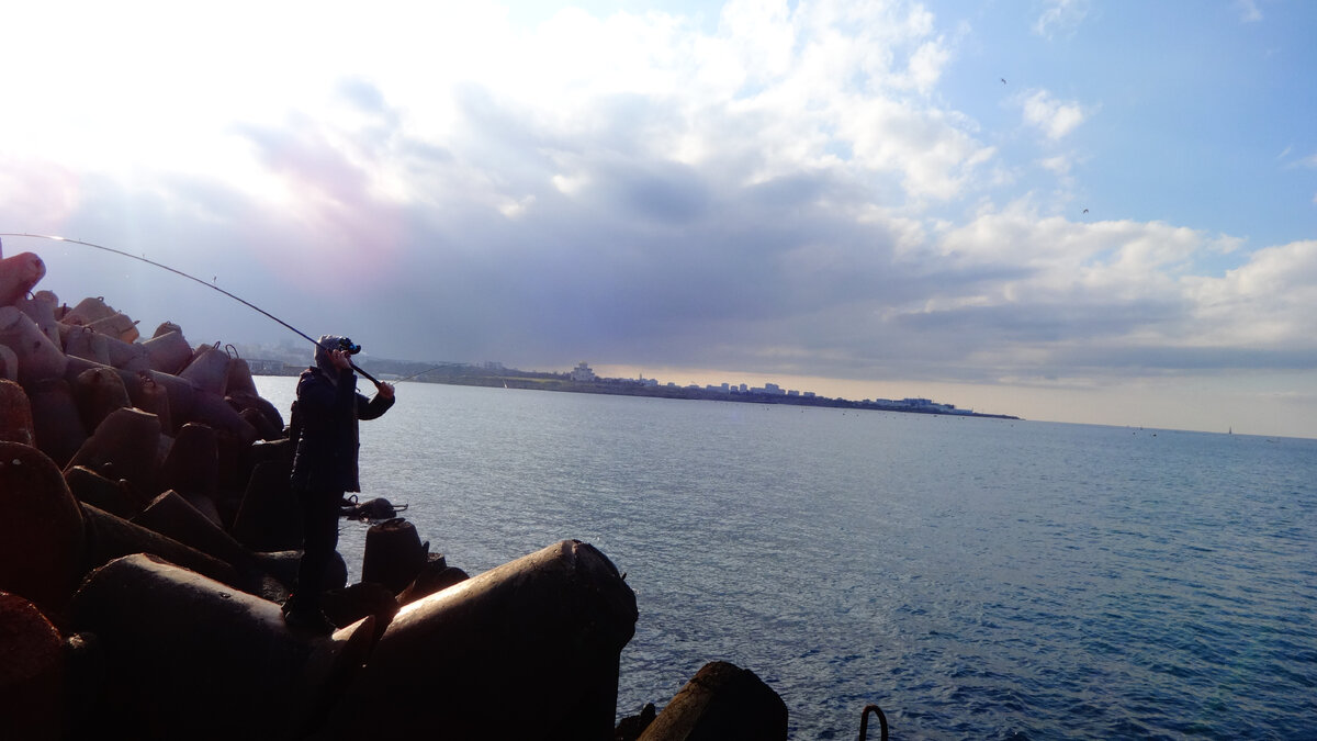 "Гормол", фото автора.