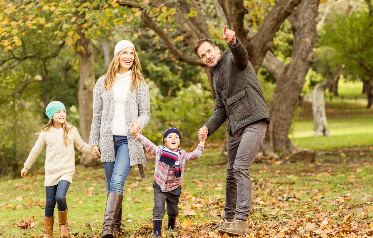 источник свободного доступа