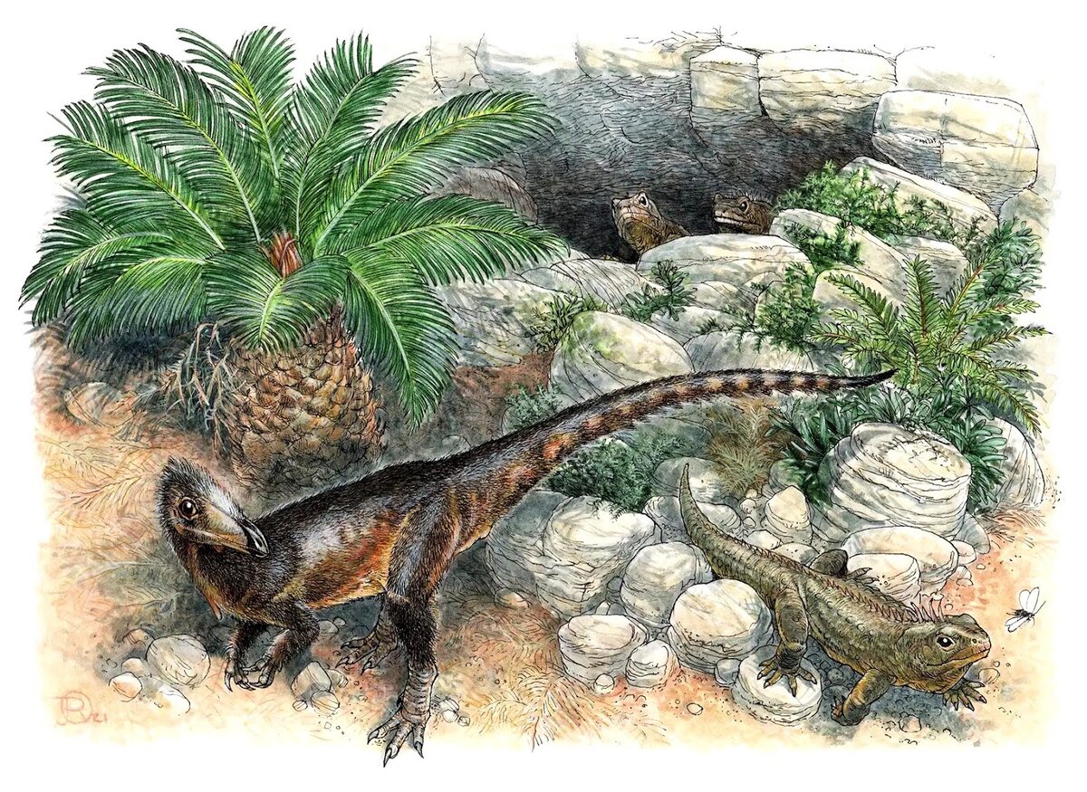 Например, по мнению художника Джеймса Роббинса и ученых Спикмана, Эзкурры, Батлера, Фрейзра и Мейдмент, динозавр Pendraig milnerae выглядел так.