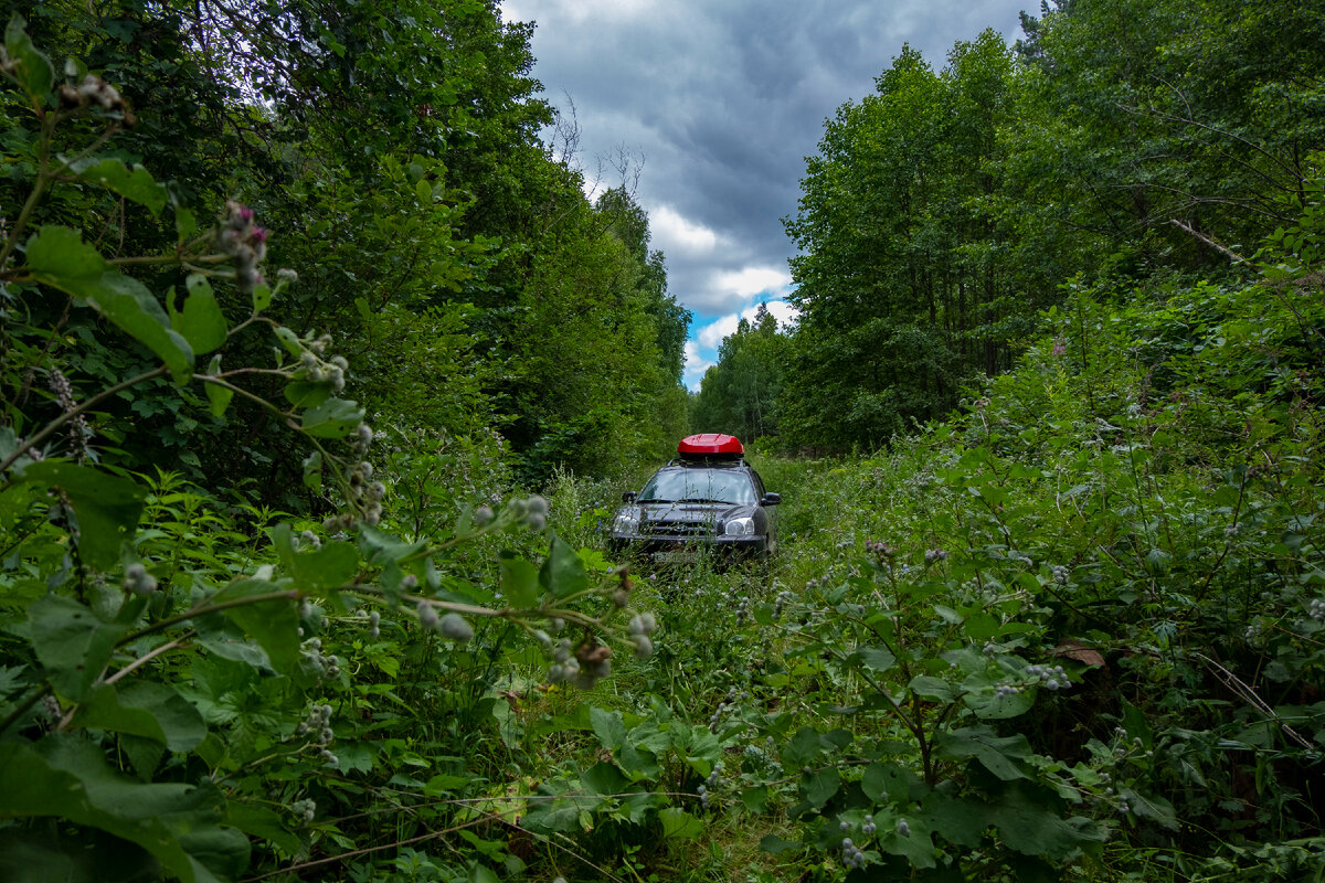 Все, дальше драть машину просто жалко...