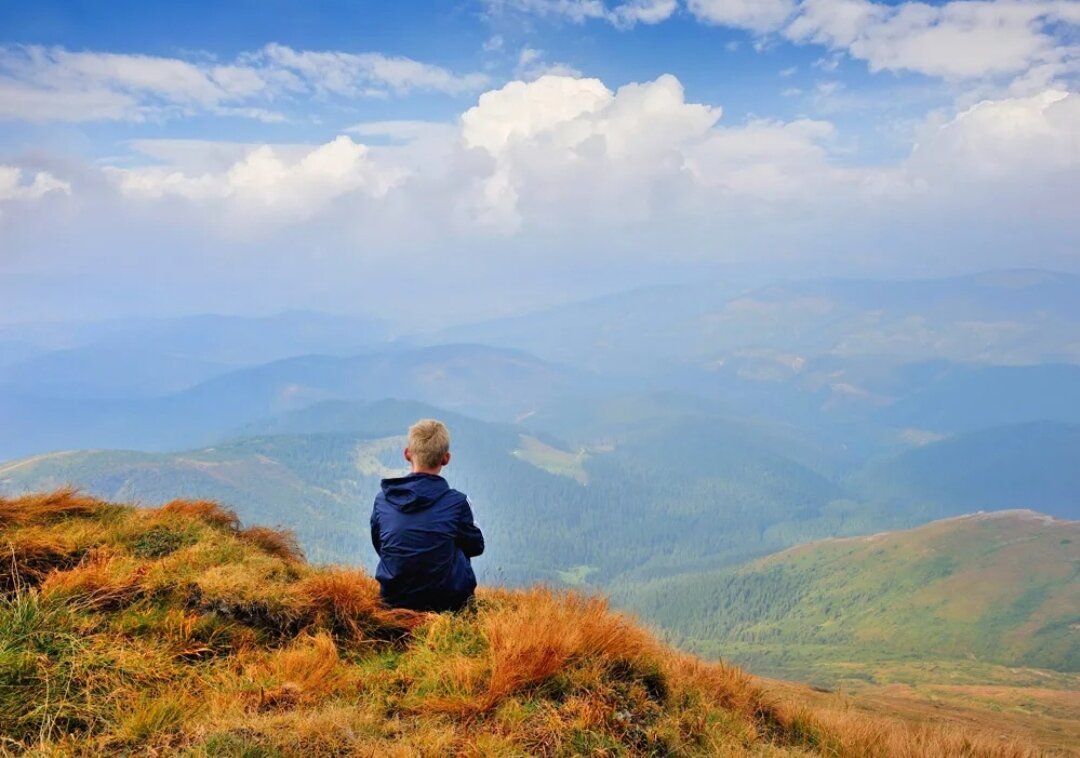 Картинка из открытых источников