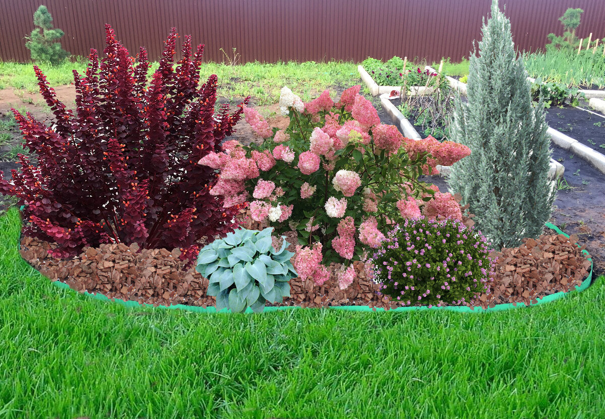 Клумба С Барбарисом