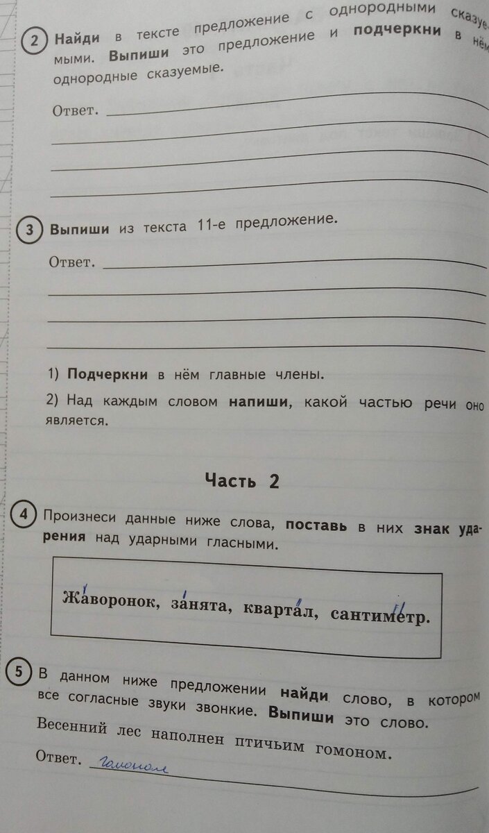 4 класс. Скоро ВПР. | Школьные годы с родителями | Дзен