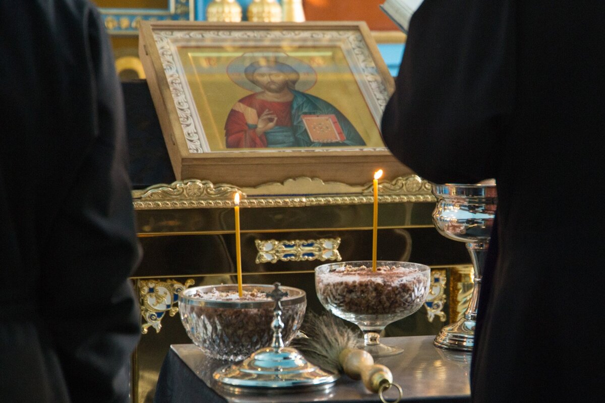 Источник изображения: https://vk.com/photo-62665272_456252121