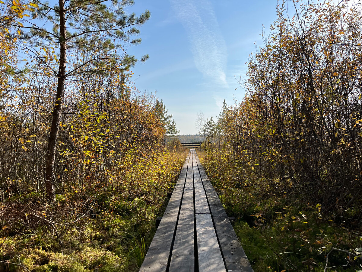 Деревянный настил в начале тропе