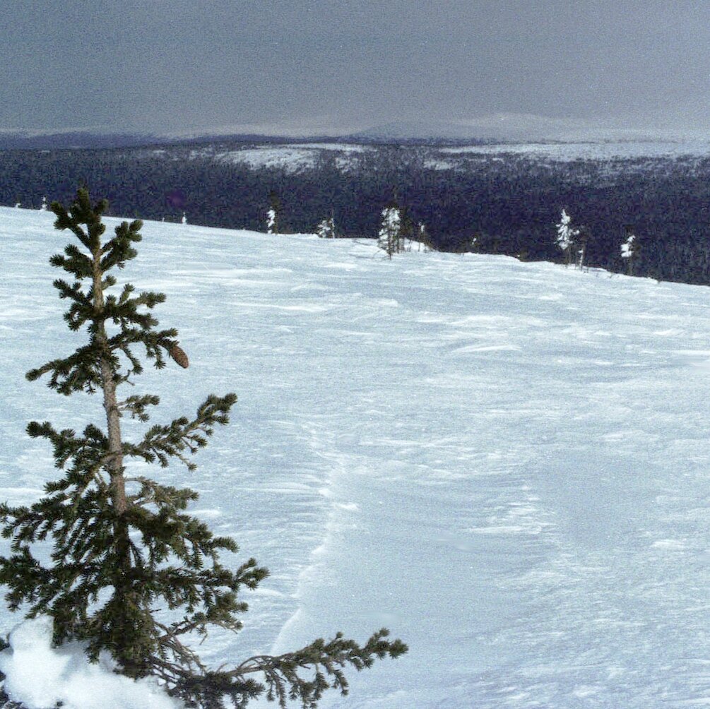 воды хочется на фоне апрельских пейзажей (фото автора)
