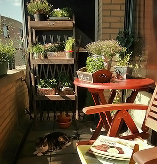 Для этого нужно включить воображение, представить пейзажи и воплотить их оттенки в жизнь. Для стиля прованс характерны следующие цвета: