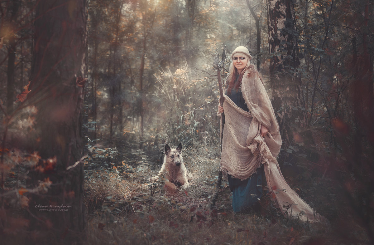 Изображение из интернета