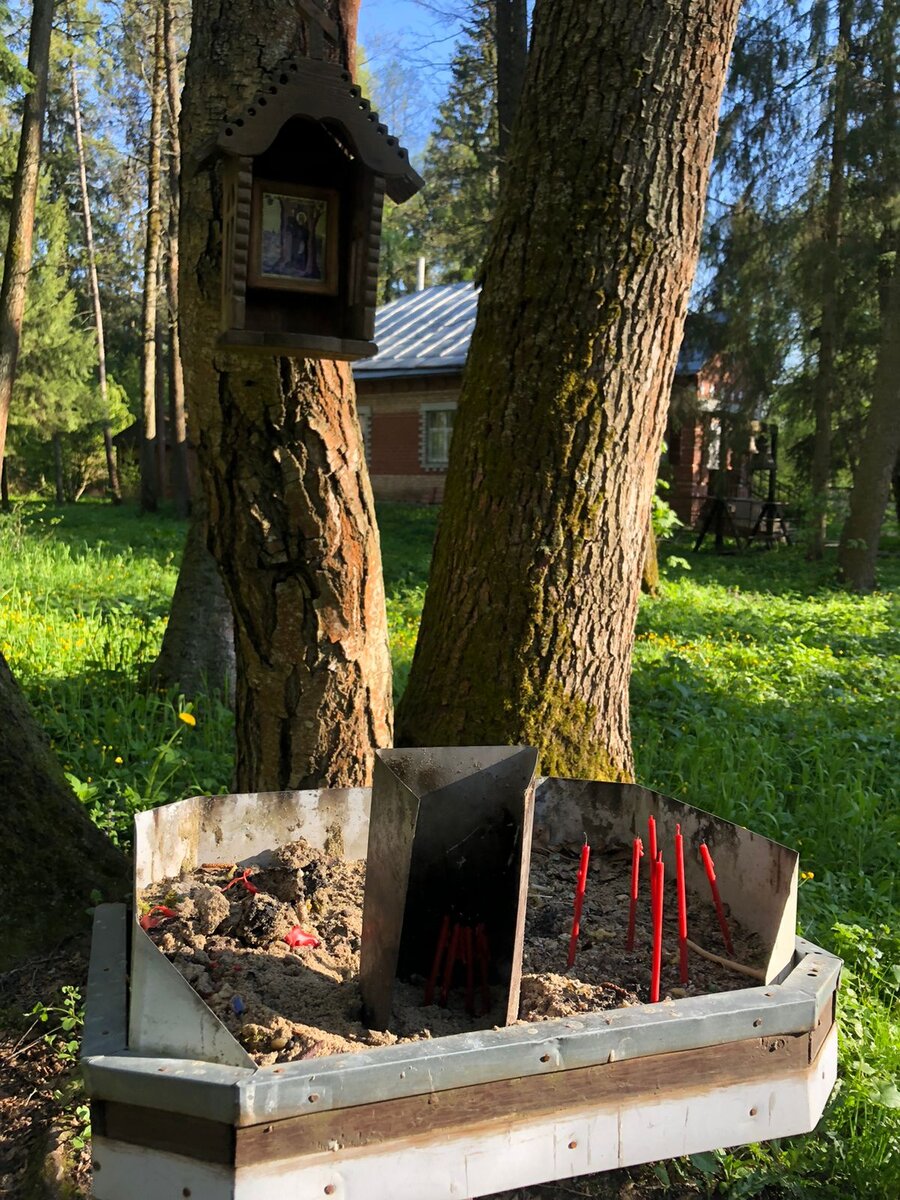 На источнике