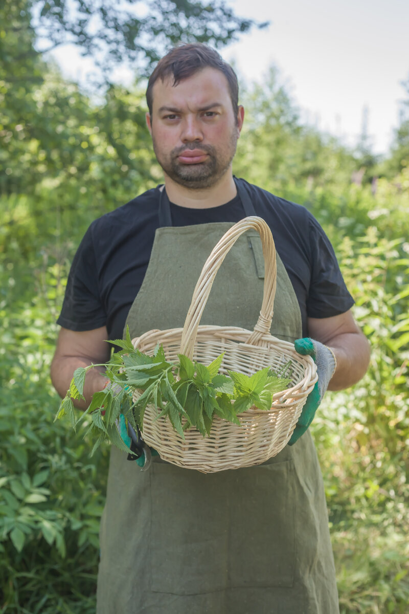 собираем крапиву для супа