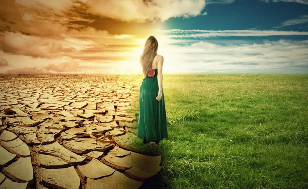 Из тьмы в свет