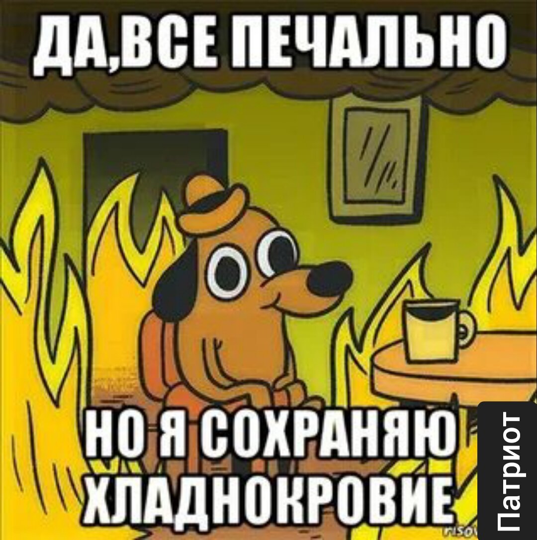 Фото из открытых источников 