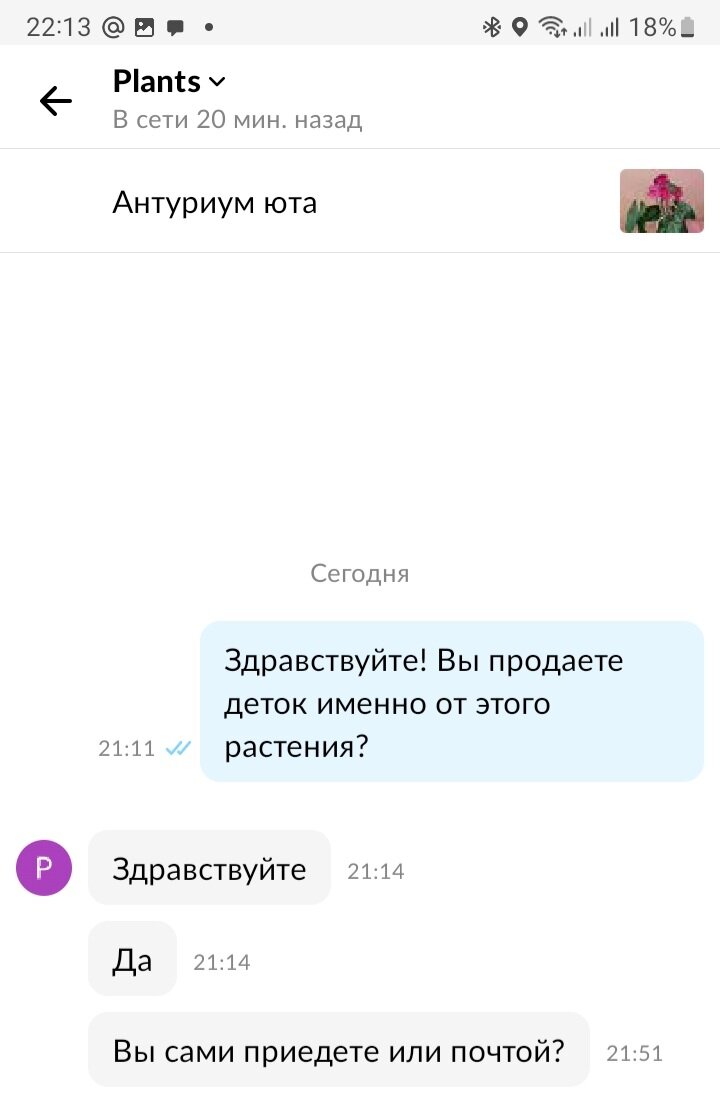 Осторожно, цветочные мошенники на авито! Авито игнорирует собщение о  мошенниках! | Все о цветах | Дзен