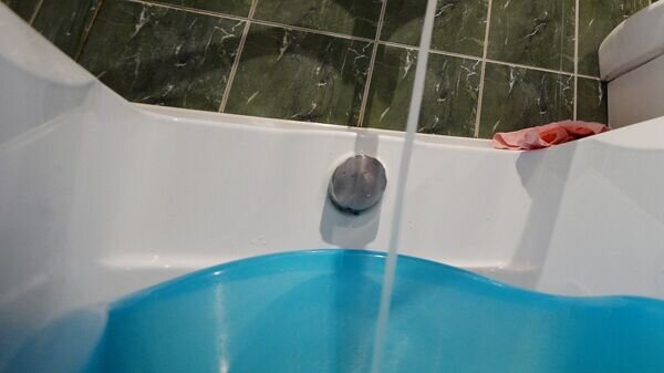   © Sputnik / Константин Чалабов