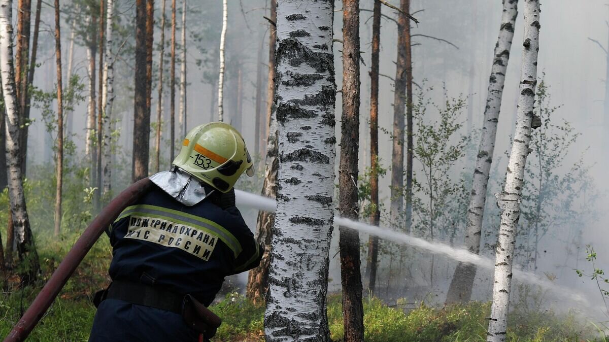    Борьба с лесными пожарами в Нижегородской области© РИА Новости / Анастасия Макарычева