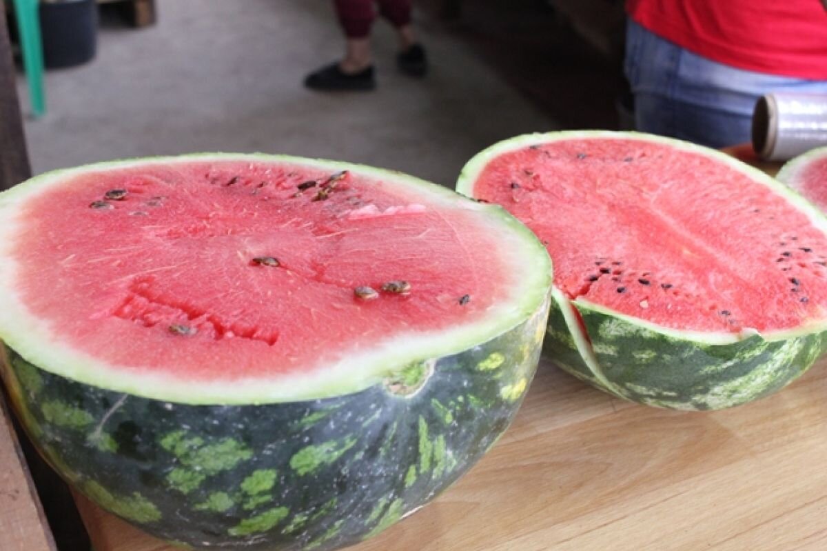    Сладчайший арбуз привезли на Ставрополье из Белгорода, дыню - из Оренбурга