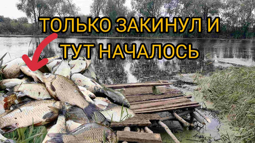 ТОЛЬКО ЗАКИНУЛ УДОЧКУ И ТУТ НАЧАЛОСЬ...