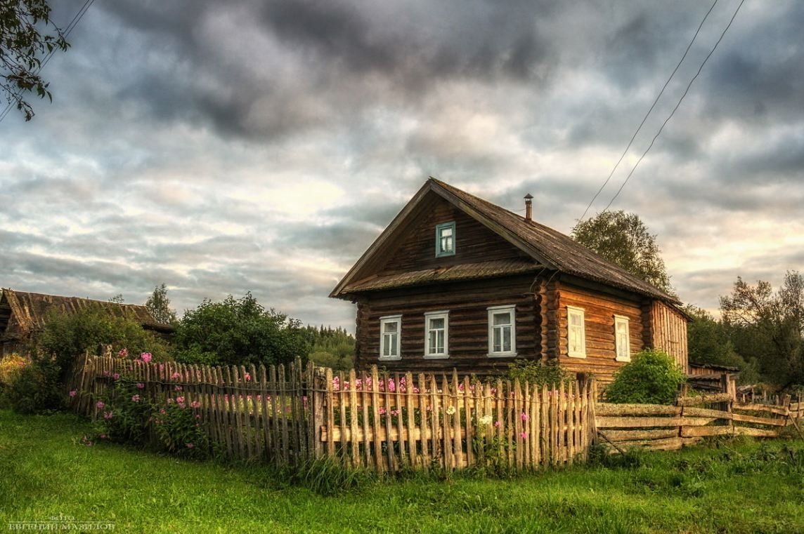 Яндекс картинки