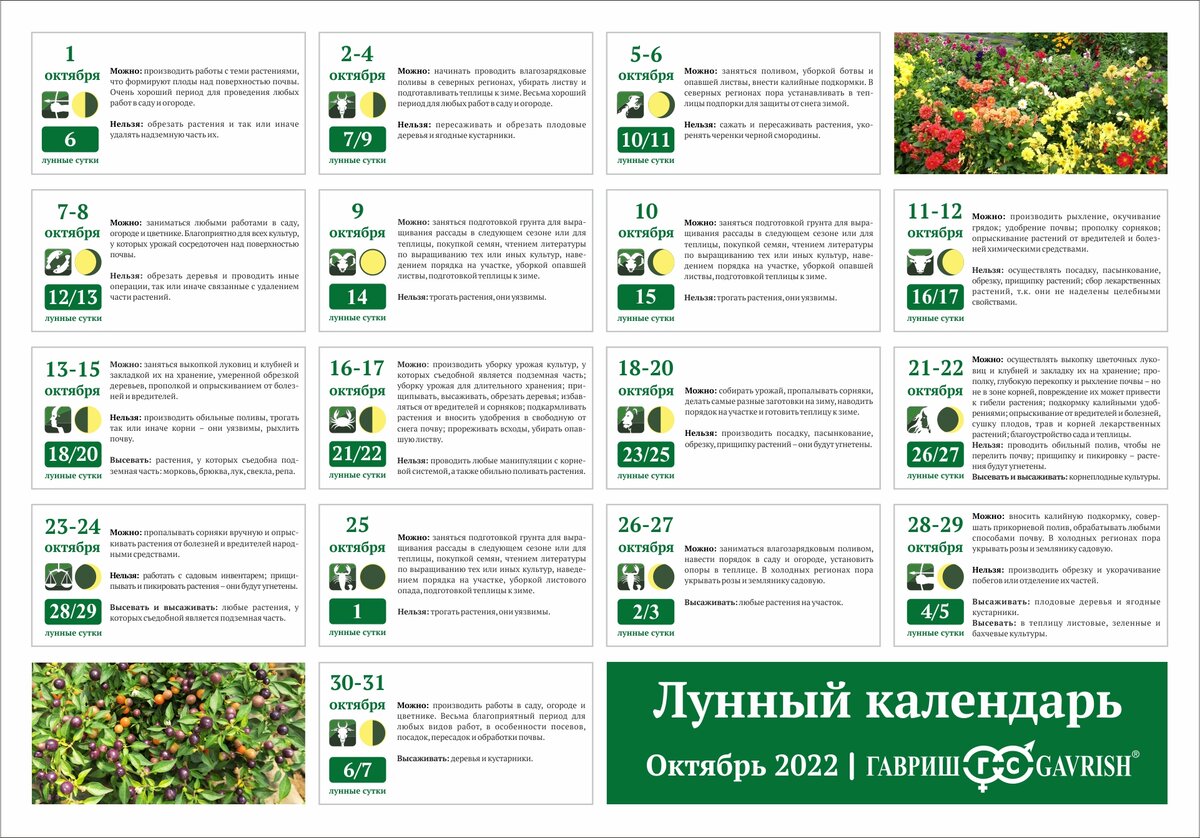 Лунный календарь на октябрь 2024 урал