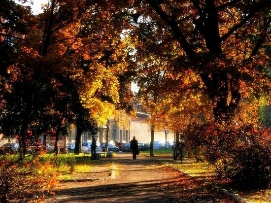     Фото: fotoxcom.ru