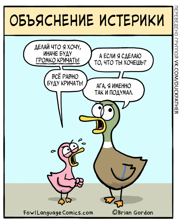 "Объяснение истерики"