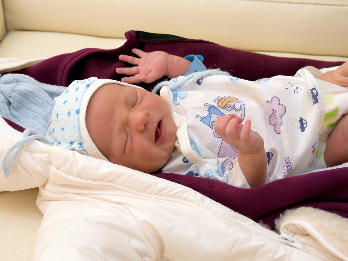 Выписка декабрь