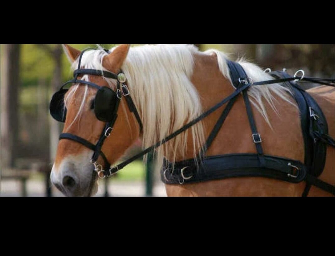 Картинка из свободного доступа